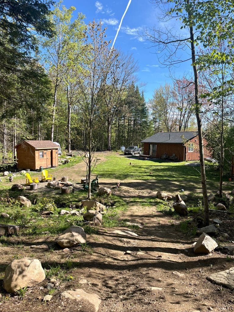 Rustic cabins in a forested backyard with clear blue skies