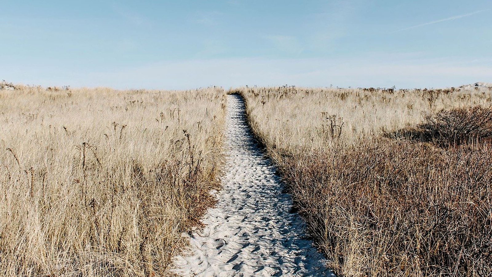 Narrow sand path through tall grass under clear blue sky