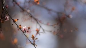 The Meaning of March