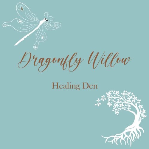 Dragonfly Willow.-281024-01